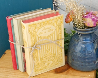 French Vintage Book Novel Livre Roman ~ Librairie Hachette & Garnier Freres ~ Interior Design Books