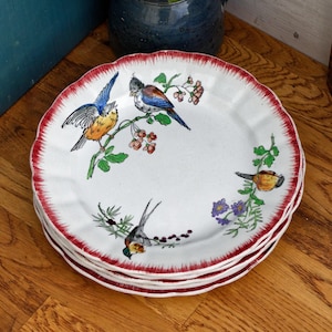 1890s ~ OISELETS Terre de Fer H.B. & Cie ~ French Antique Ironstone Polychrome Plate ~ Birdies en Faïence