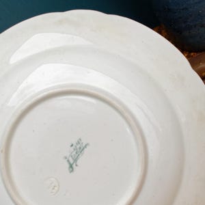 1890s ~ "VINCENNES" LONGWY ~ French Antique Floral Ironstone Polychrome Plate ~ Terre de Fer