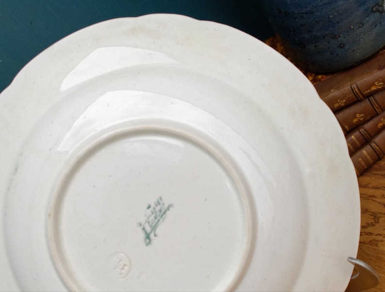 1890s ~ "VINCENNES" LONGWY ~ French Antique Floral Ironstone Polychrome Plate ~ Terre de Fer
