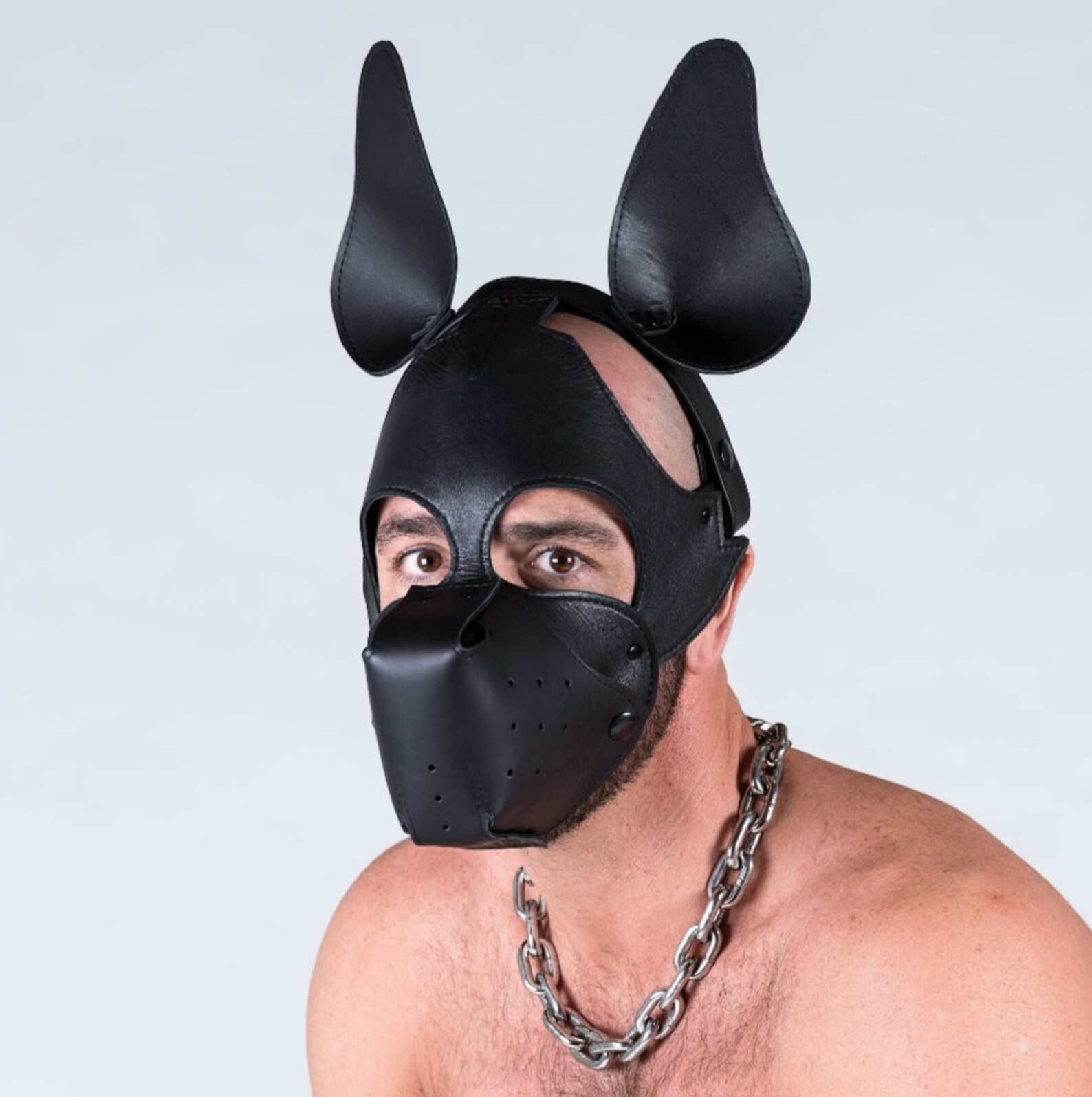 metal puppy muzzle metal puppy muzzle