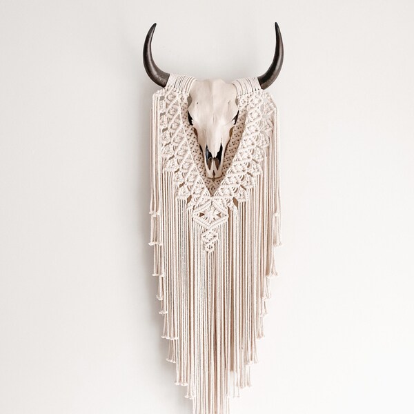 Painted Cow Skull - Etsy