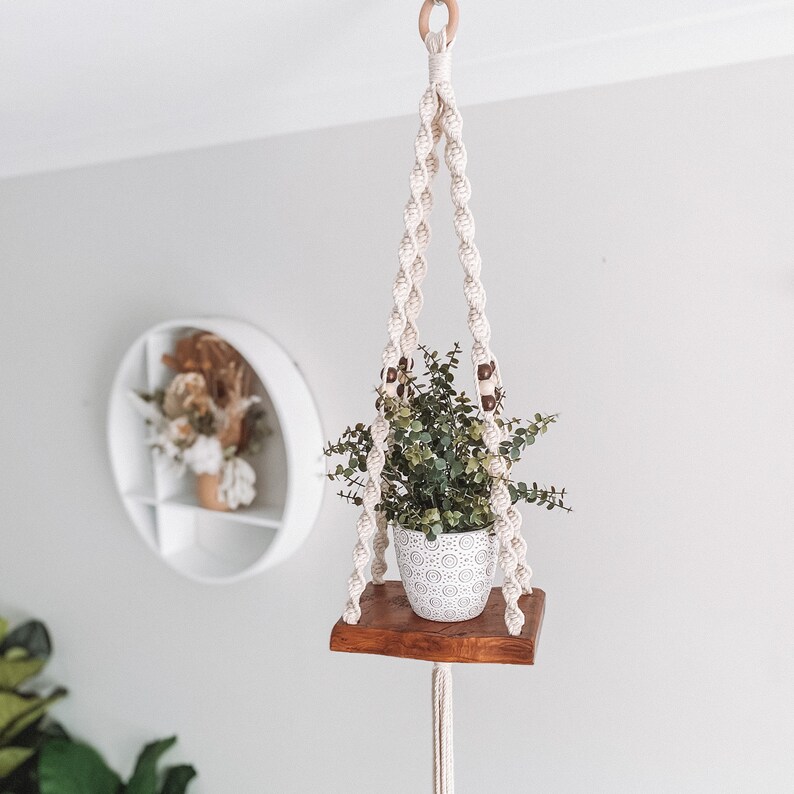 Bunya Pine Hanging Shelf Dark Wood Plant Shelf Bohemian Etsy