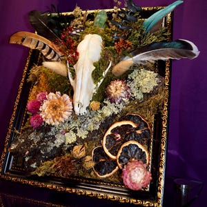 Könnte beinhalten: Ein gerahmtes Kunstwerk mit einem Schädel, Federn, getrockneten Blumen und Moos. Der schwarze Rahmen hat goldene Details. Die Anordnung umfasst verschiedene Texturen und Farben, wobei natürliche Elemente und ein Hauch von Makabrem im Vordergrund stehen.