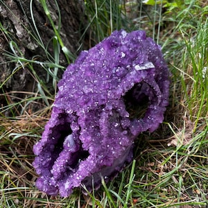 May include: A skull-shaped sculpture covered in deep purple amethyst crystals. The surface is composed of numerous small, faceted, translucent purple points that form the structure of the cranium, eye sockets, and nasal cavity of the animal skull.