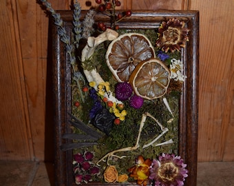 3D Framed Wild Bone Shrine