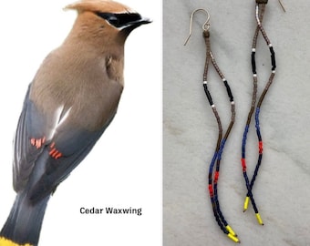 Cedar Waxwing