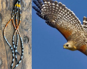 Red Shouldered Hawk