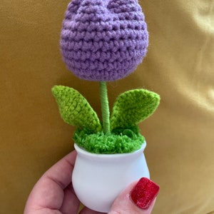 Könnte beinhalten: Eine gehäkelte lila Tulpe in einem weißen Topf mit grünen Blättern und grünem Moos.