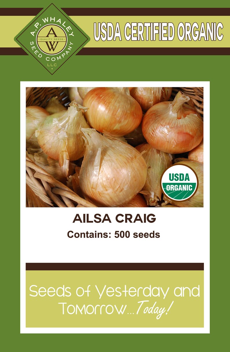 Ailsa Craig Sweet Onion 500 seeds Etsy