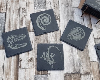 Dinosaur fossil replica slate coasters