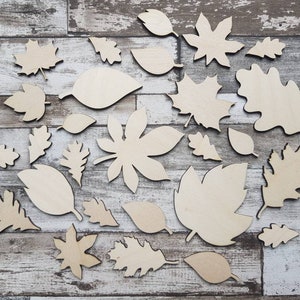 27 piece leaf craft pack image 1