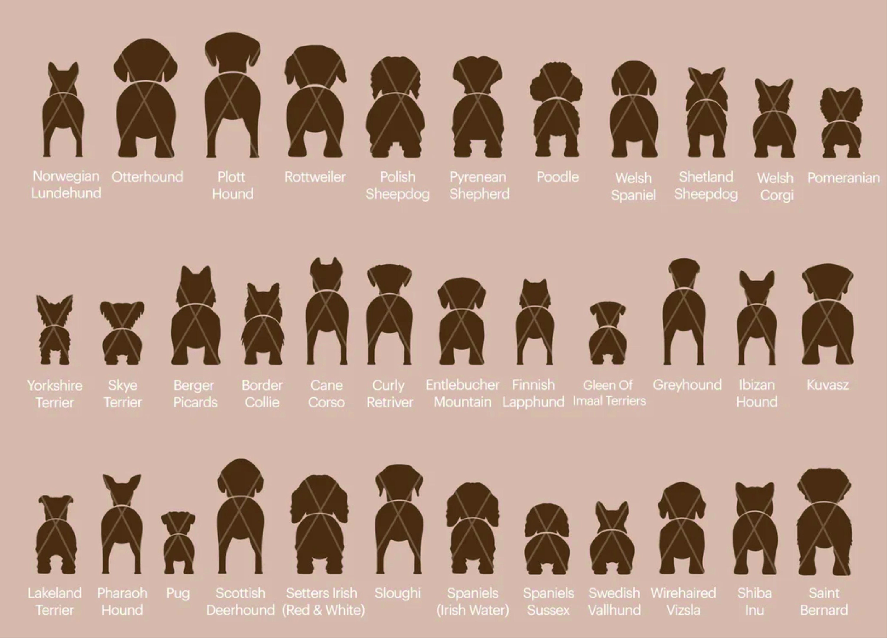 Engraved Wooden Dog Shapes Personalized - Etsy