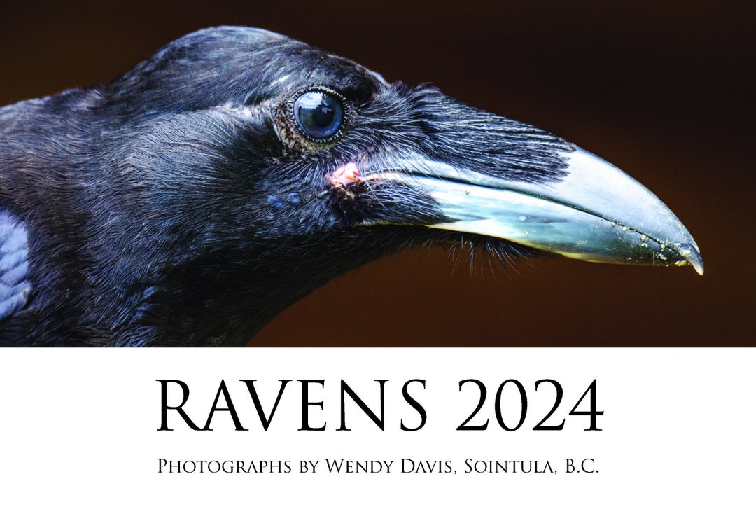 The 2024 Raven Calendar Etsy
