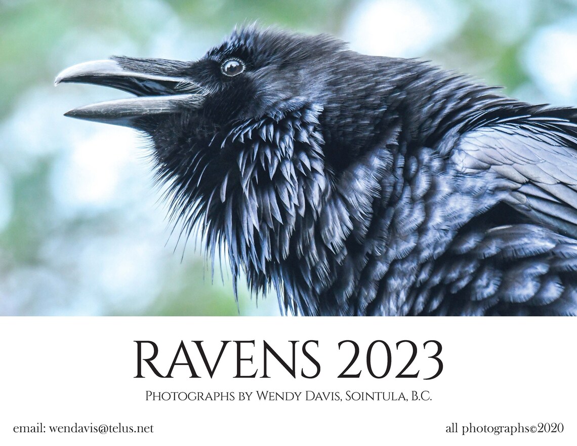 The 2023 Raven Calendar Etsy Australia