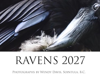 The 2027 Raven calendar