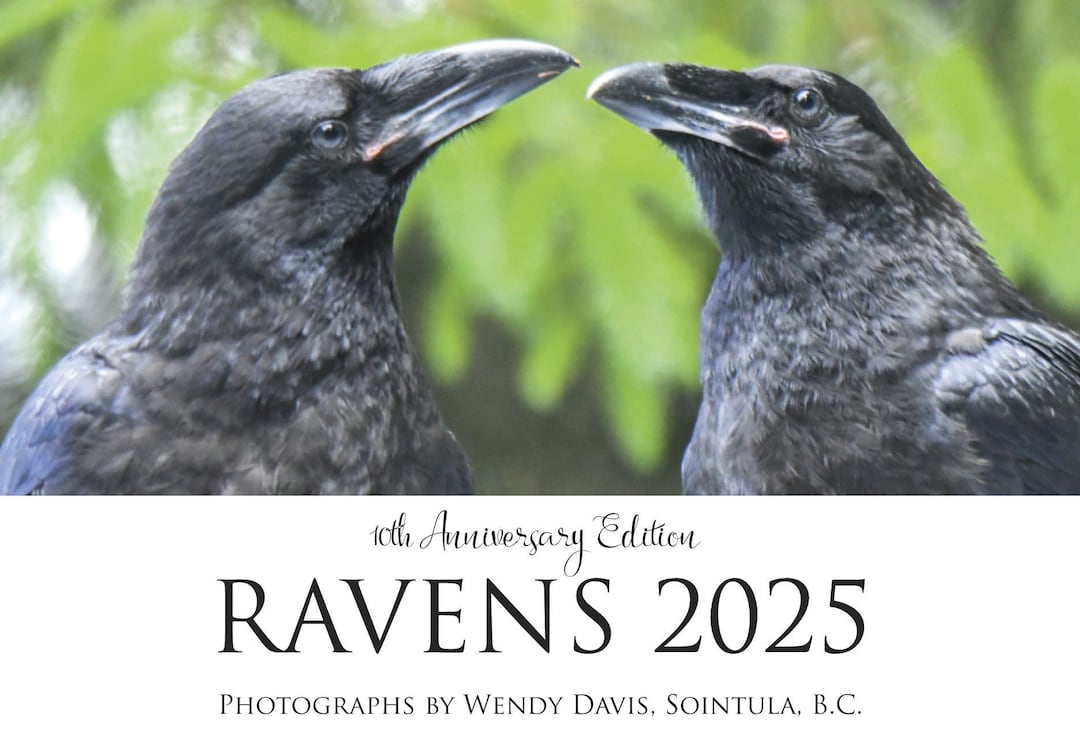 2025 Raven Calendar, Wall Calendar, Ravens Etsy
