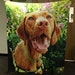 Custom Photo Blanket *FREE 2 DAY SHIPPING* Super Soft And Cozy, The Perfect Gift For Everyone!