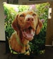 FREE 2 DAY SHIPPING! Personalized Custom Photo Blanket, Super Soft And Cozy, The Perfect Holiday Gift For Everyone!
