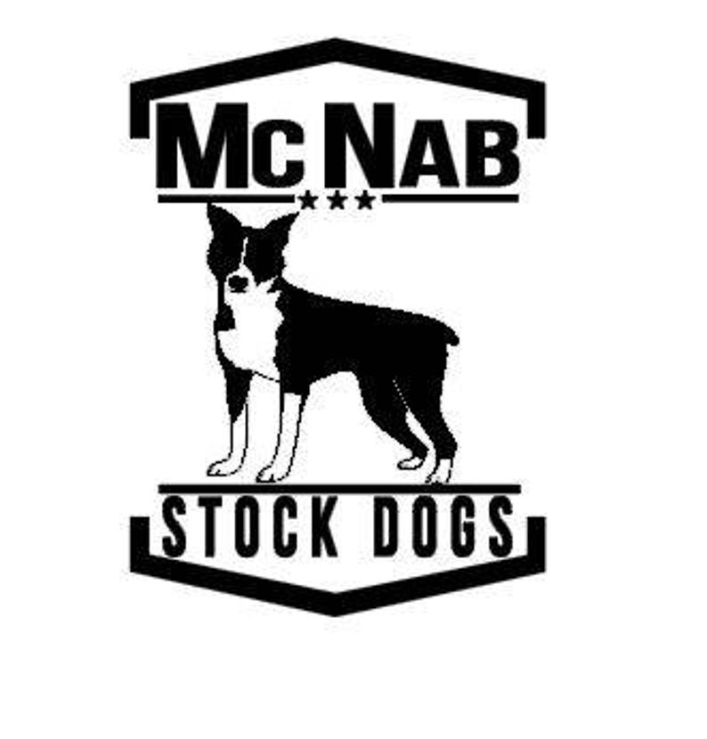 Mcnab Stock Dog Decal Car Decal Dog Car Decal Vinyl Decal Etsy