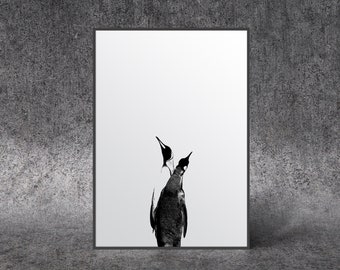 Valentine's Penguin art, black and white wall decor poster art, printable digital, home decor, interior design, minimalist animal print