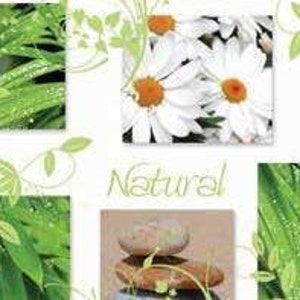 May include: A collage of images featuring nature-inspired designs. The images include green leaves with water droplets, white daisies, and stacked stones. The word "Natural" is written in green script.