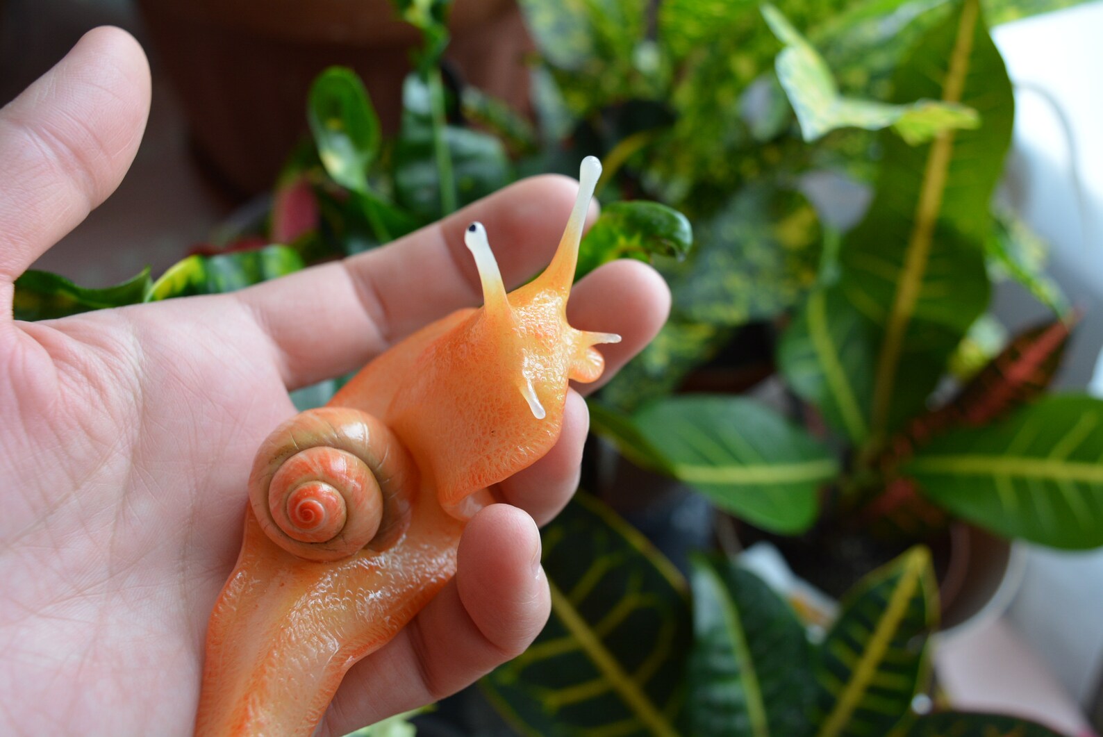 Flower snail for decorating pots Etsy