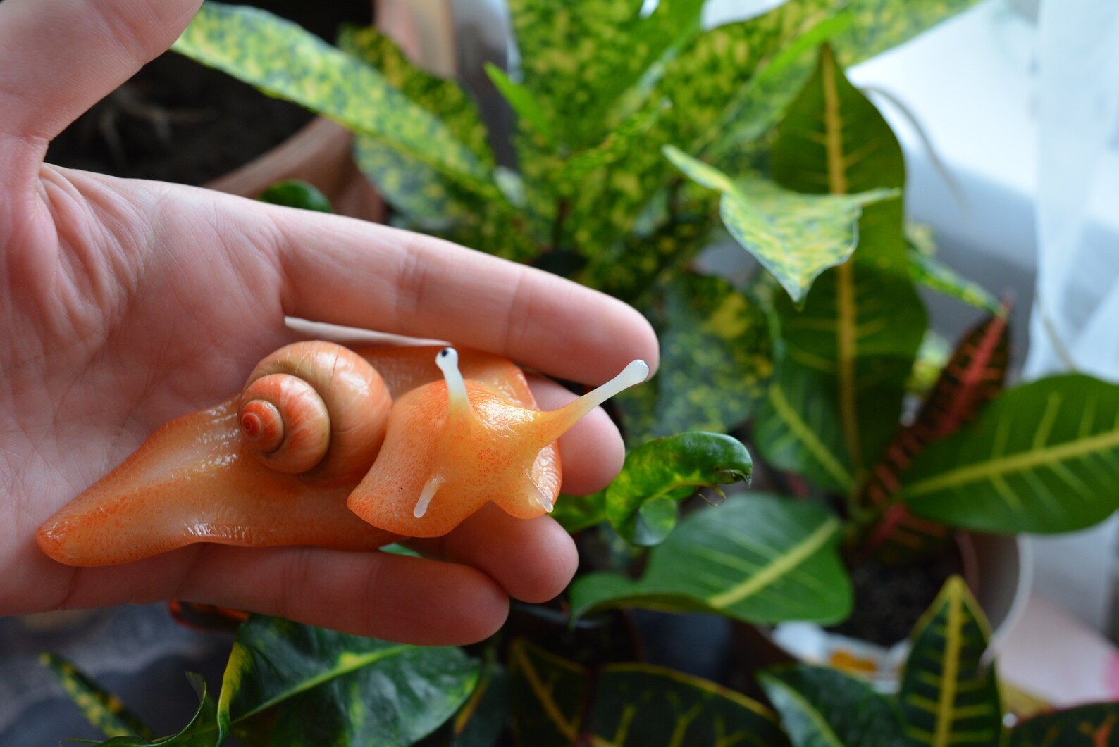 Flower snail for decorating pots Etsy