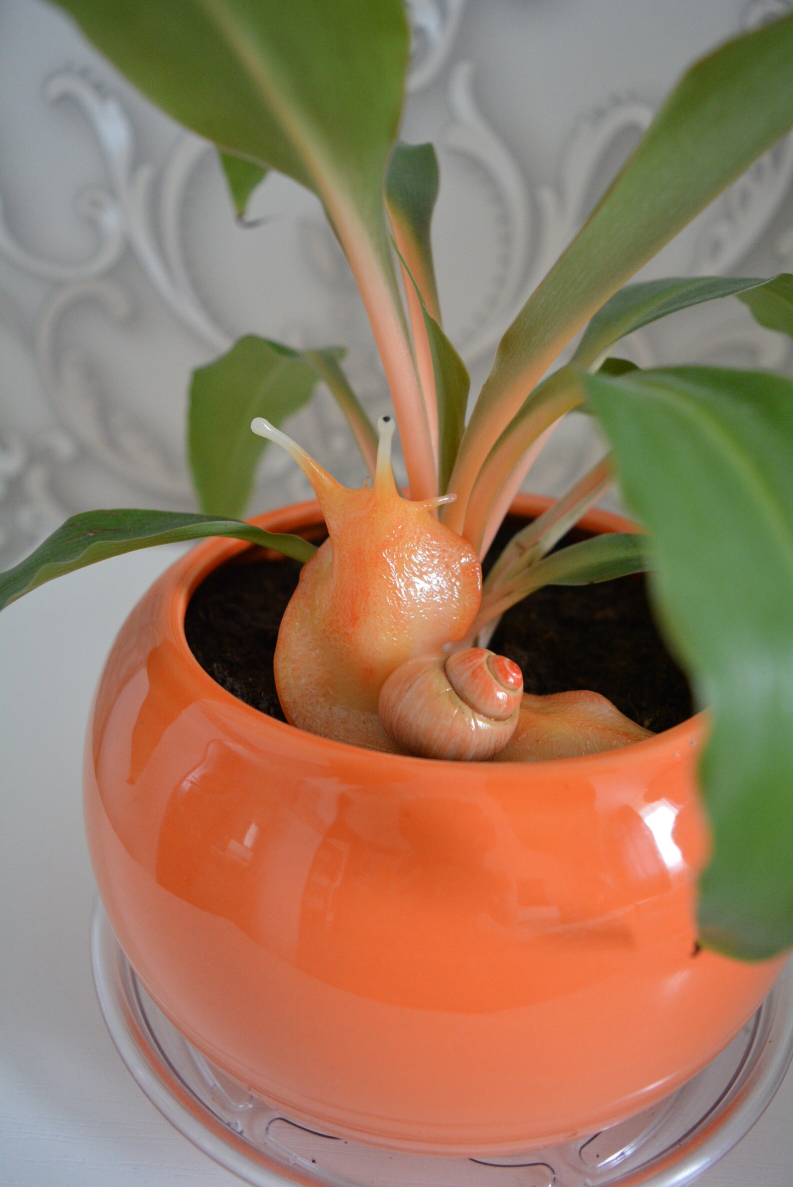 Flower snail for decorating pots Etsy