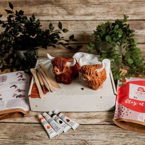 May include: A craft kit with two Highland cow sculptures, paint tubes, and tools. The kit includes a box with the text "Jasmine Studio" and a bag with the text "Clay at home". The sculptures are brown and orange.