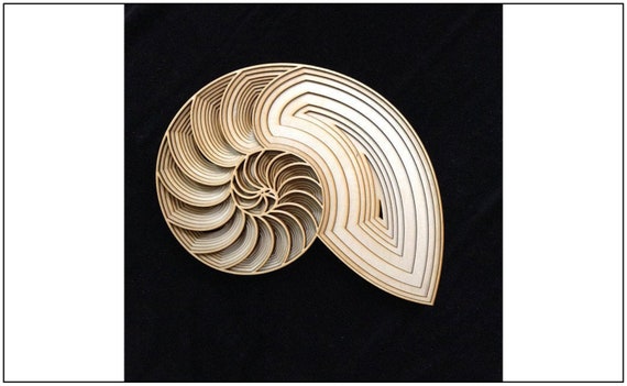 Download 3d Mandala Svg Seashell Svg Laser Cut Files Layered Etsy