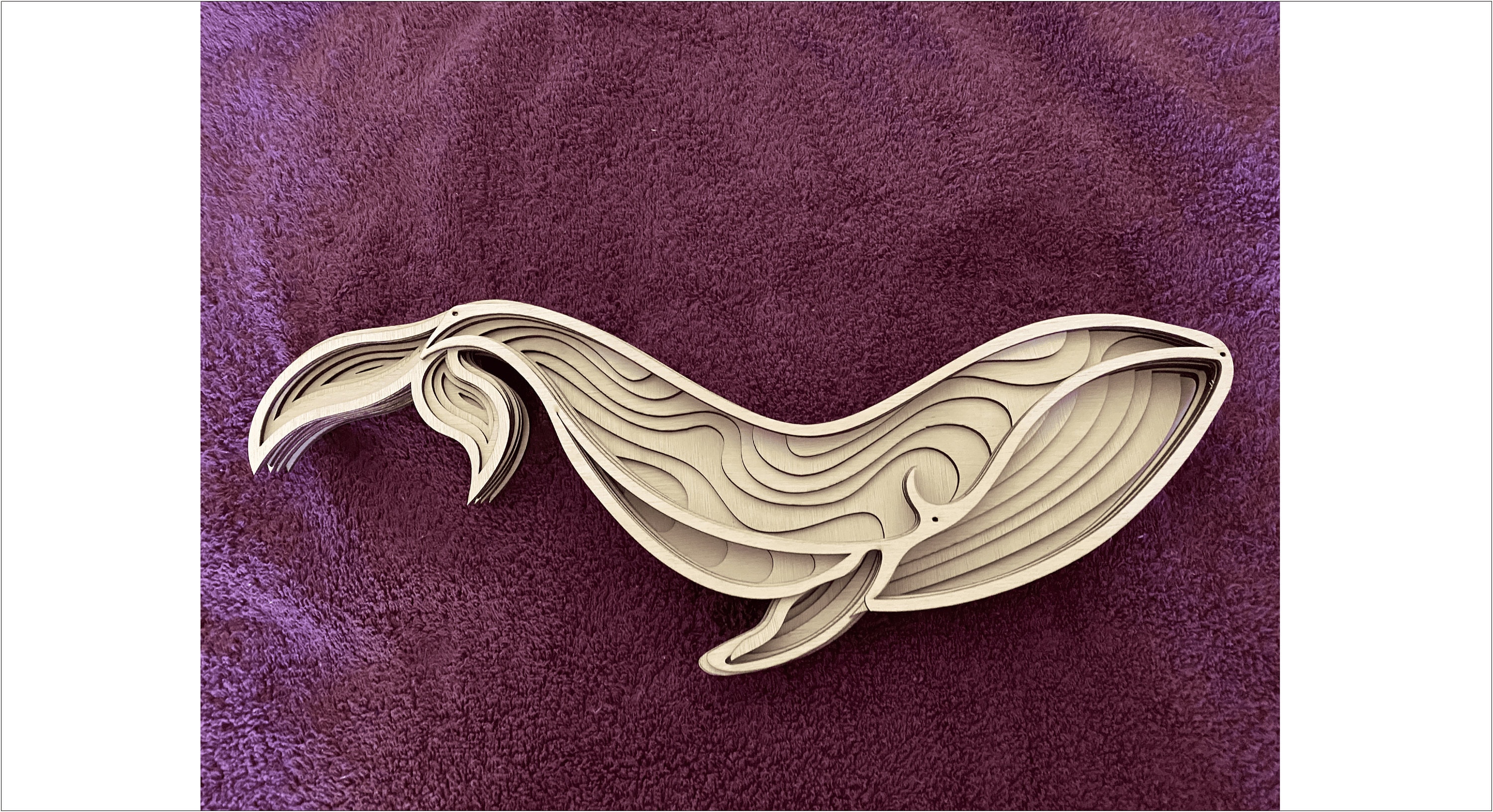Free Free Mandala Whale Svg 343 SVG PNG EPS DXF File