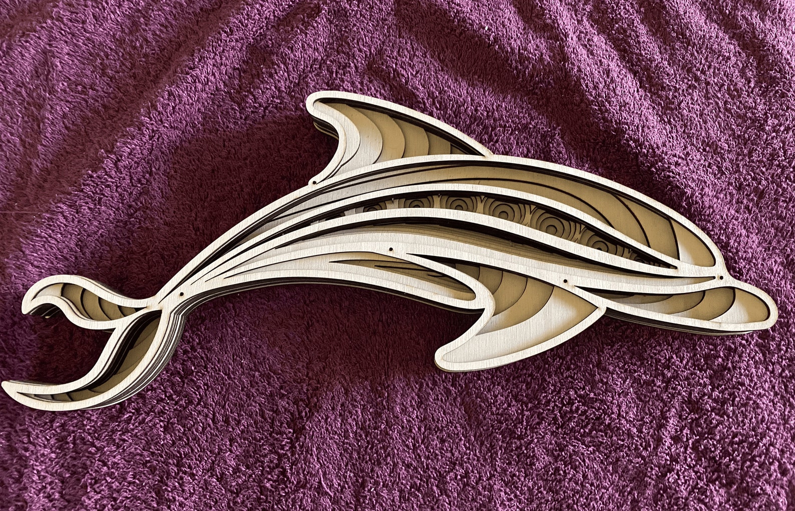 laser dolphin laser dolphin