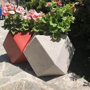 Può includere: Due vasi in cemento geometrici, uno rosso e uno grigio, con fiori rosa che crescono al loro interno. I vasi sono posizionati su un patio in pietra.