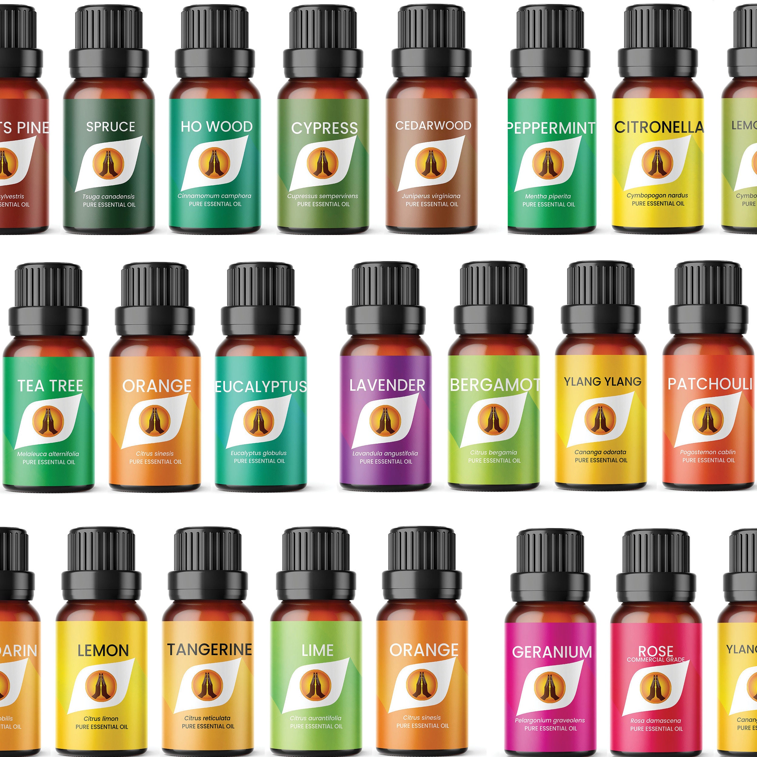 Essential Oils Set - 12 Pcs Premium Grade Home Essentials Oils - for  Diffusers, Fragrance, Scents for Candle Making, Soap, Slime - Natural
