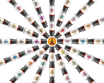 Christmas Fragrance Oils - Winter Scents for Candle, Soap & Bath Bombs (10ml)