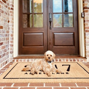 May include: A small, light brown dog with a black collar is lying on a brown doormat with the number 217 and the words "Asheville Lane" printed on it. The dog is looking directly at the camera. The doormat is in front of a double wooden door with glass panels.