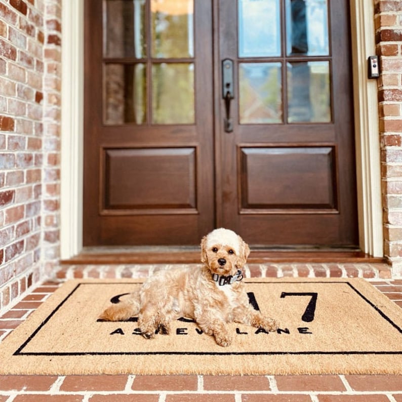 May include: A small, light brown dog with a black collar is lying on a brown doormat with the number 217 and the words "Asheville Lane" printed on it. The dog is looking directly at the camera. The doormat is in front of a double wooden door with glass panels.