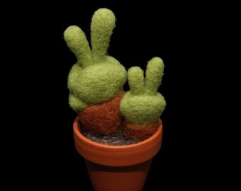 Plante succulente oreilles de lapin en laine feutrée