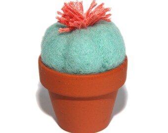Cactus boule en laine feutrée