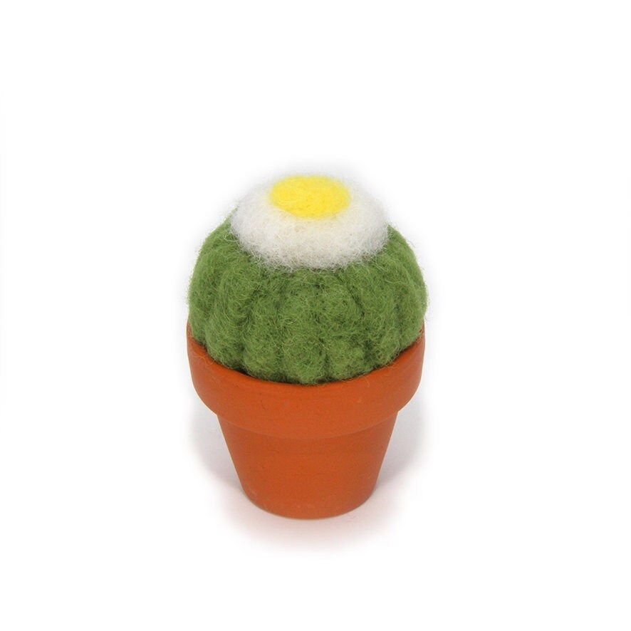 Cactus Boule en Laine Feutrée