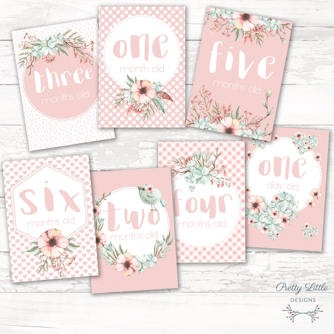 Baby Milestone Cards - Girl - Floral and Birds in Pink, Cream & Mint ...
