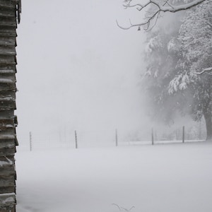 May include: A winter landscape scene with heavy snowfall. A weathered wooden structure is on the left, and snow-covered trees and a fence are visible in the distance. The ground is covered in a thick layer of snow, creating a serene, cold atmosphere.