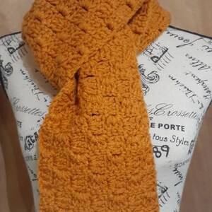 Scarf, Orange Handmade Crochet  Unisex Scarf