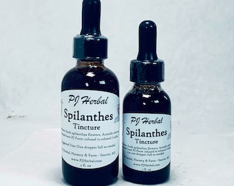 Spilanthes Tincture - Made from Fresh-Picked Spilanthes Flowers