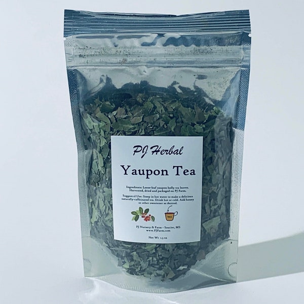 Yaupon Holly Herbal Tea - Dried Herb - Naturally Caffeinated Green Tea - Grown Sustainably on Our Small Family Farm in Mississippi