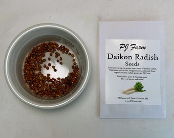 Daikon Radish - 100+ SEEDS - White Winter Radish