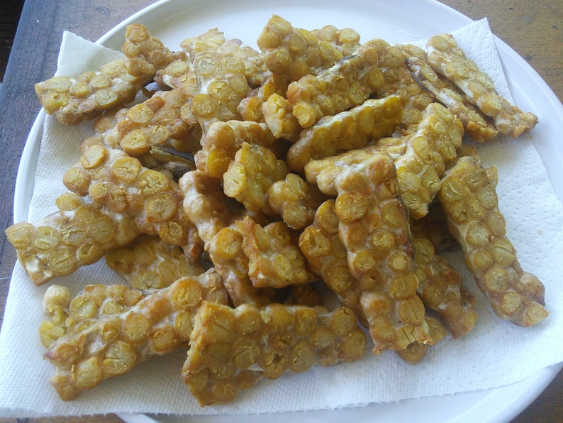 Rhizopus oligosporus Vegan Calcium B12 Protein Iron Organic Tempeh Starter