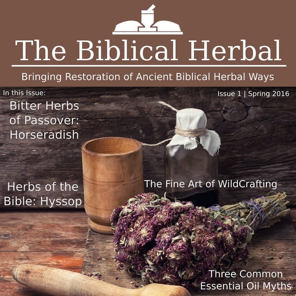 Biblical Etsy