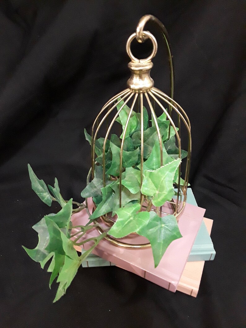 Home Interior Brass Bird Cage With Greenry And 3 Solid Wood Books